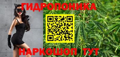 крисы Железноводск