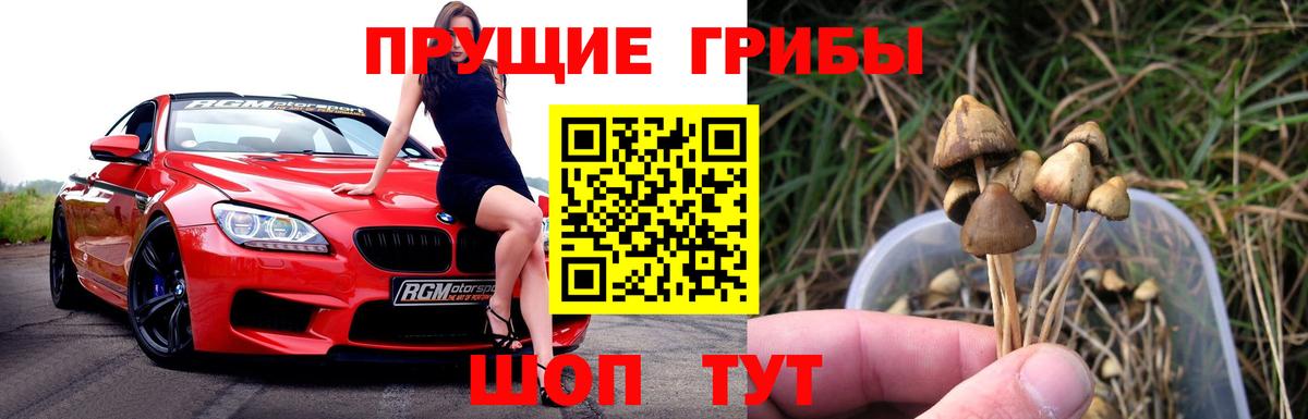 Псилоцибиновые грибы MAGIC MUSHROOMS  Вход с VPN  Губаха 